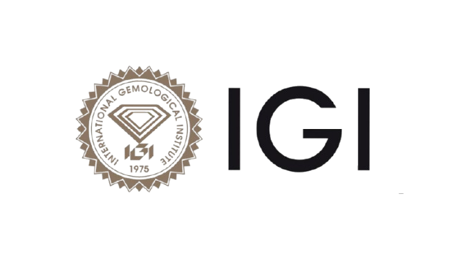 IGI Logo